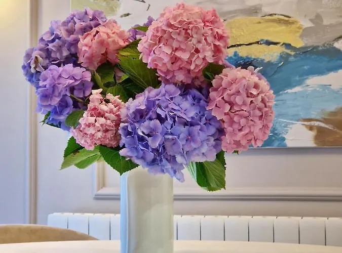 Appartement Jasna Rovinj